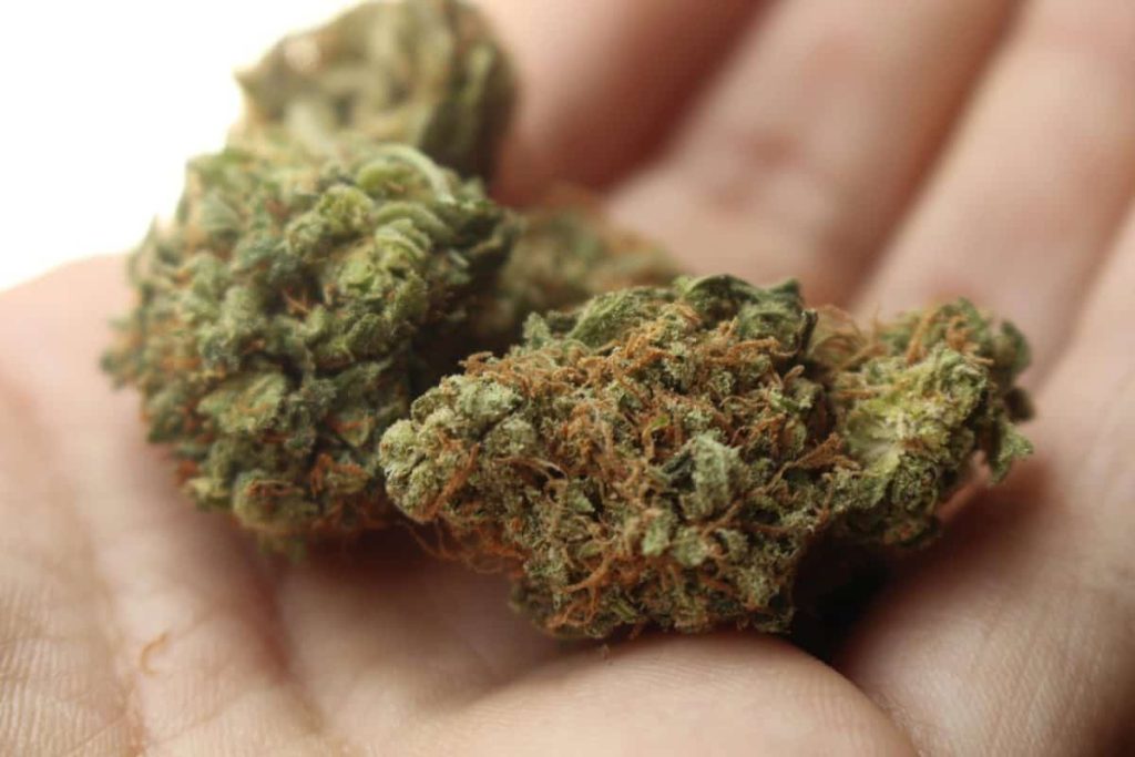 What to search for in a high quality CBD flower and hemp product?